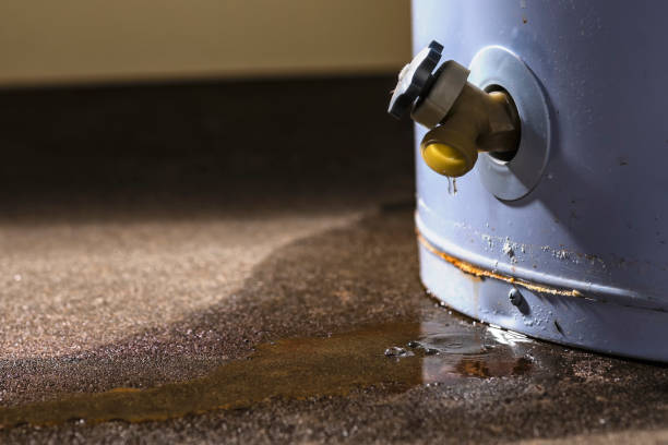 Best Professional water damage repair  in Forestdale, MA