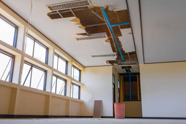 Best Water damage contractors near me  in Forestdale, MA