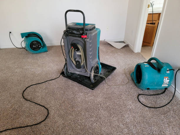 Water damage restoration mold remediation in MA