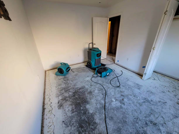 Best 24/7 water damage repair  in Forestdale, MA