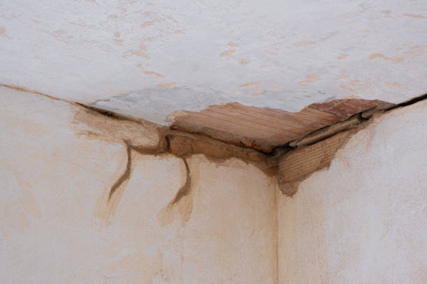 Best Residential water damage restoration  in Forestdale, MA