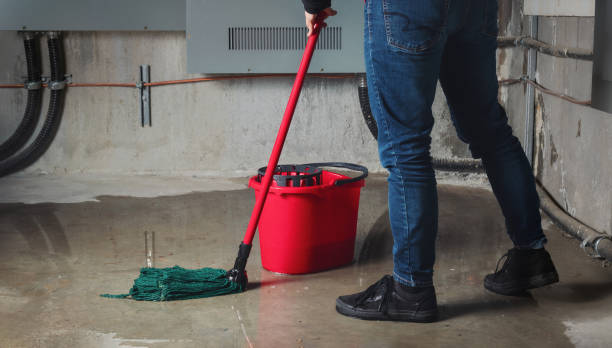 Best Water damage restoration near me  in Forestdale, MA