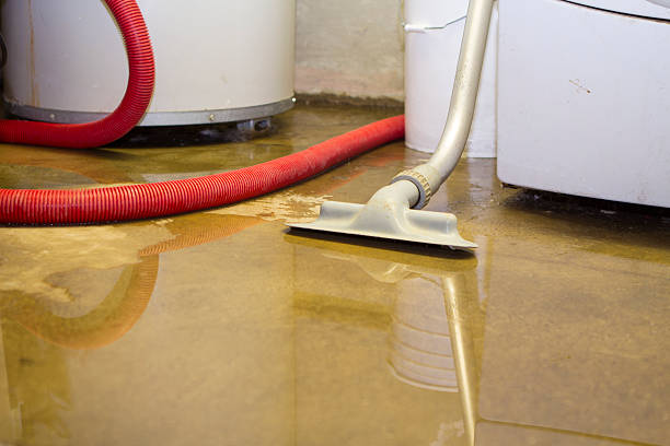 Best Professional water damage repair  in Forestdale, MA