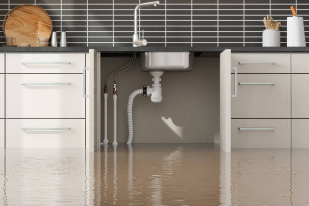 Best Water damage restoration experts  in Forestdale, MA